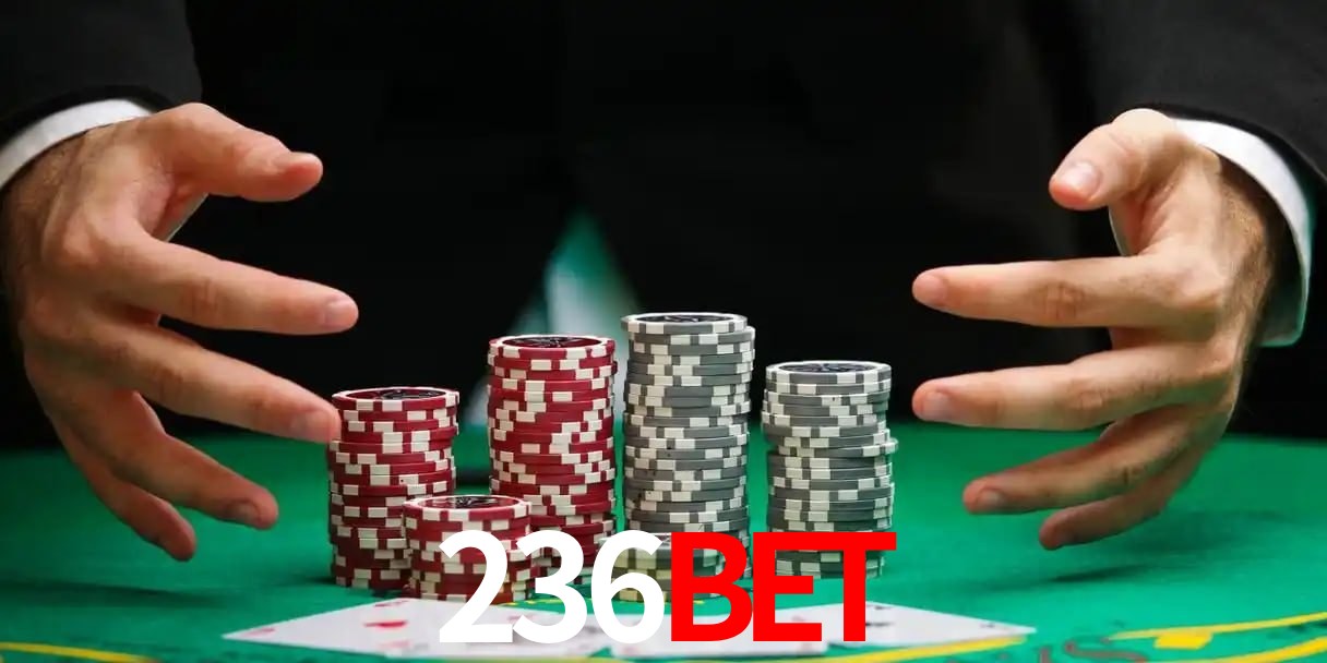 236bet
