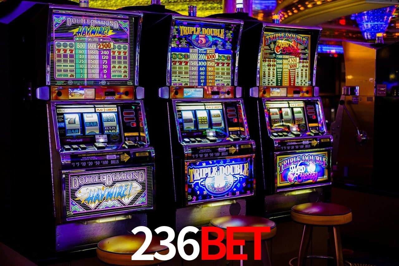 Apostas de Tênis 236bet