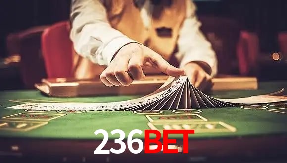 Player Reviews 236bet